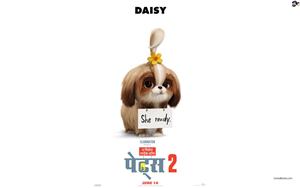 Daisy in The Secret Life of Pets 2